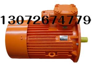 振動電機(jī)的安裝技巧及注意事項